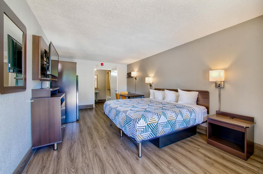 Deluxe Room, 1 King Bed, Non Smoking, Refrigerator & Microwave - Photo 5