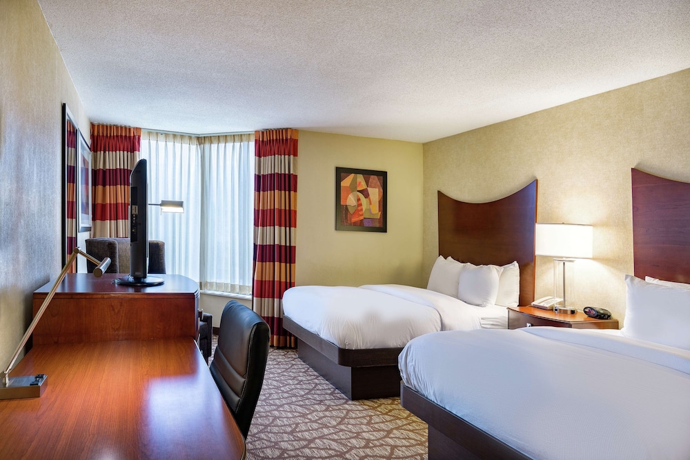 Suite, 1 Bedroom photo 1