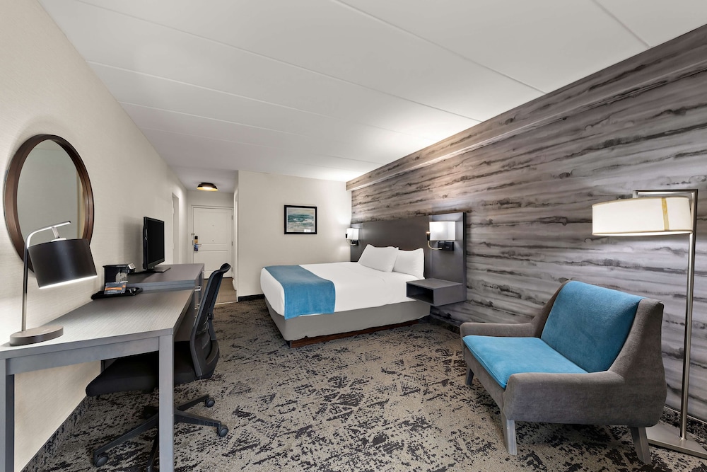 Standard Room, 1 King Bed, Accessible, Refrigerator & Microwave - Photo 3