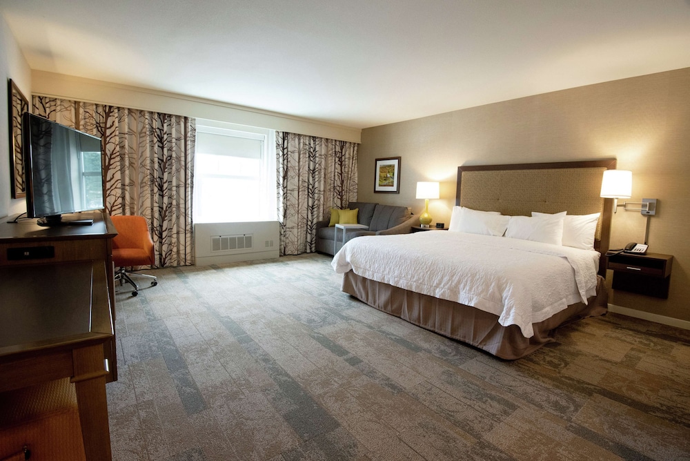Room, 1 King Bed with Sofa bed, Accessible, Non Smoking (Mobility & Hearing, Roll-in Shower) photo 1