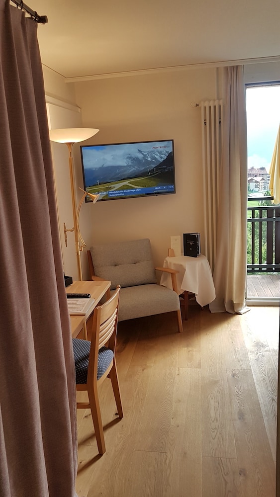 Single Room, Balcony, Mountain View (Jungfrau)