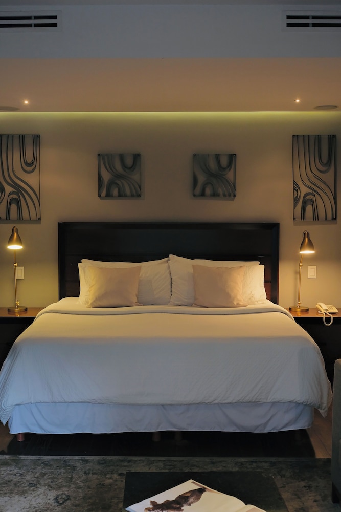 Black Bear Suite photo 1