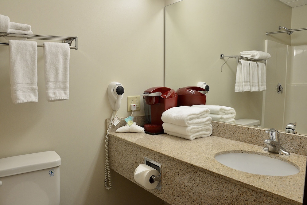 Business Room, 1 King Bed, Refrigerator & Microwave photo 3