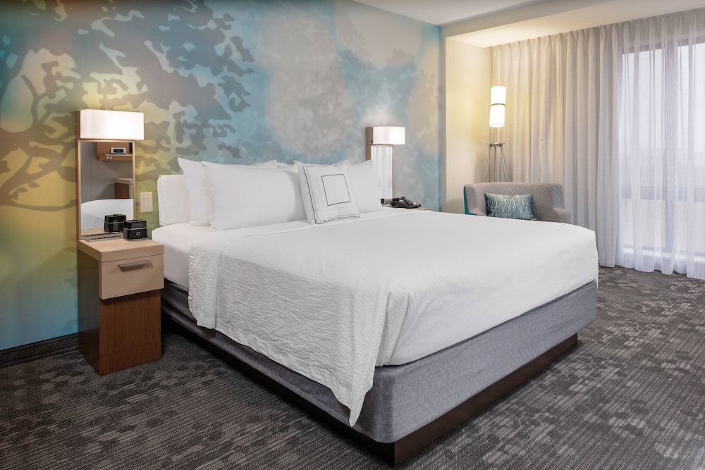 Suite, 1 King Bed with Sofa bed (Hearing Accessible) - Photo 2