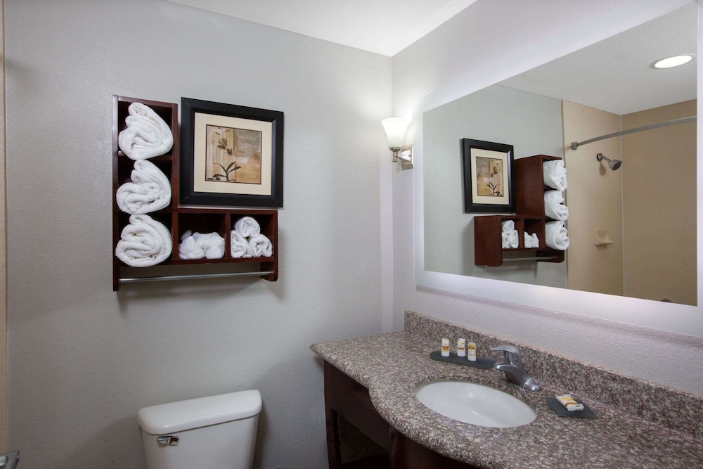 Executive Room, 1 King Bed, Non Smoking - Photo 4