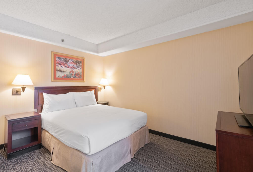 Suite, 1 King Bed with Sofa bed (ADA) photo 3