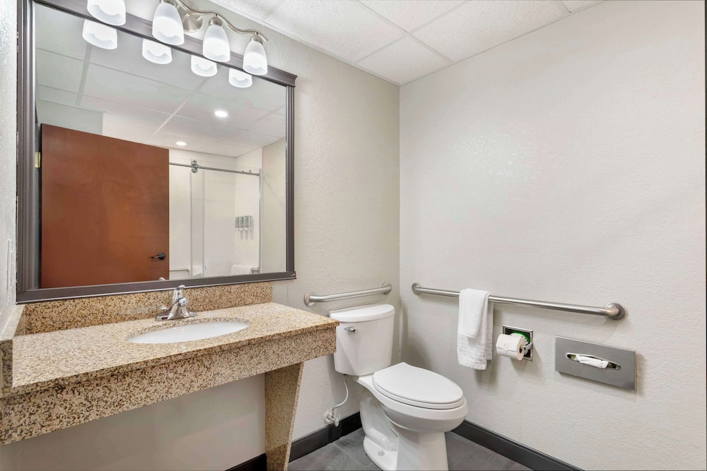 Standard Room, 1 King Bed, Accessible, Refrigerator & Microwave (Walk-in Shower) photo 2