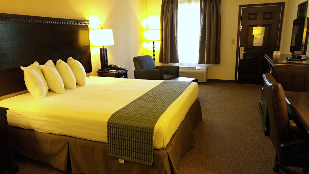 Basic Single Room photo 1