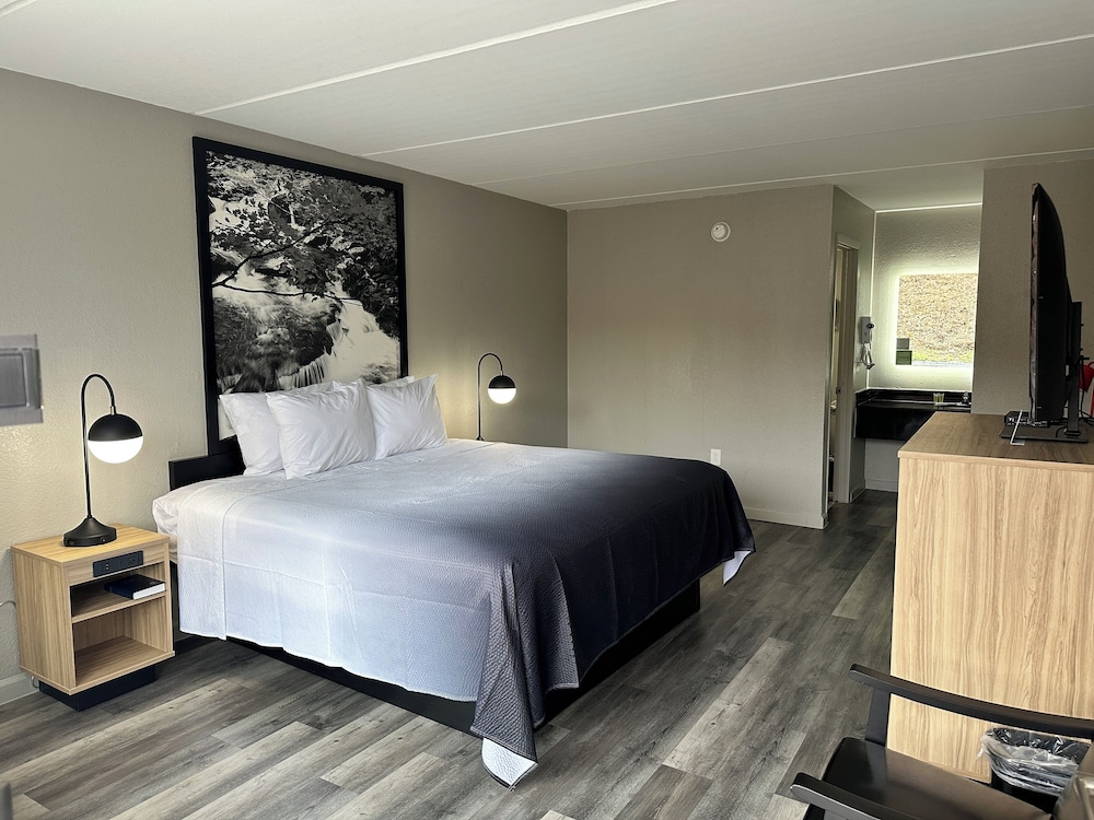 Room, 1 King Bed, Non Smoking - Photo 1
