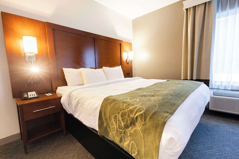 Suite, 1 King Bed, Non Smoking - Photo 22
