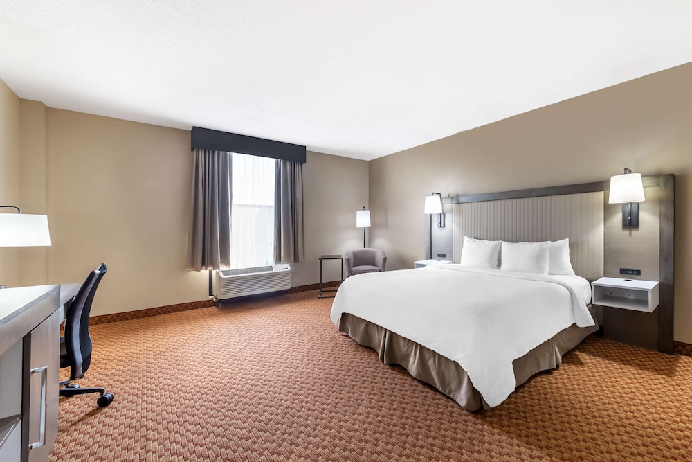 Standard Room, 1 King Bed, Accessible, Non Smoking