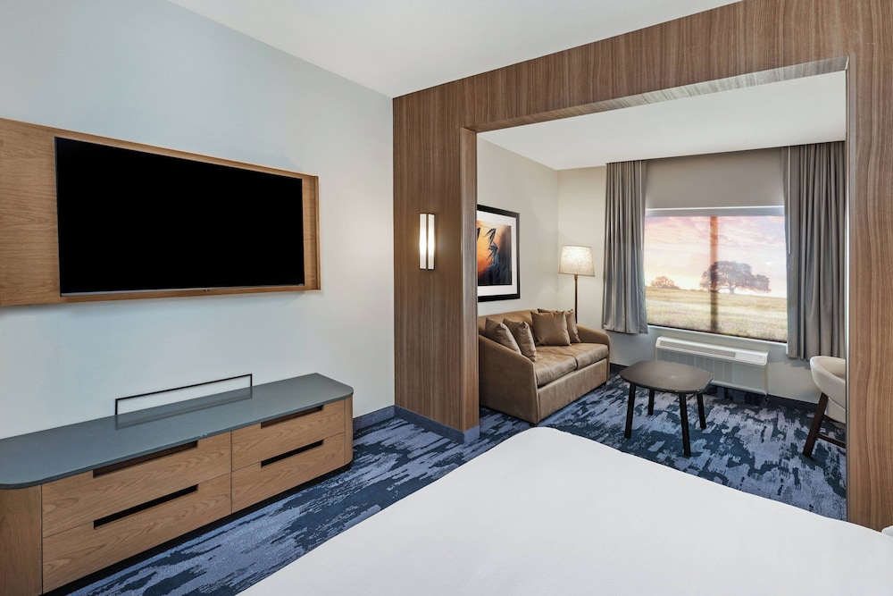 Suite, 1 King Bed with Sofa bed