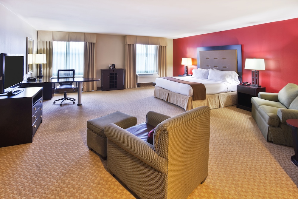 Suite, 1 King Bed, Accessible (Communication, Roll-In Shower) photo 2