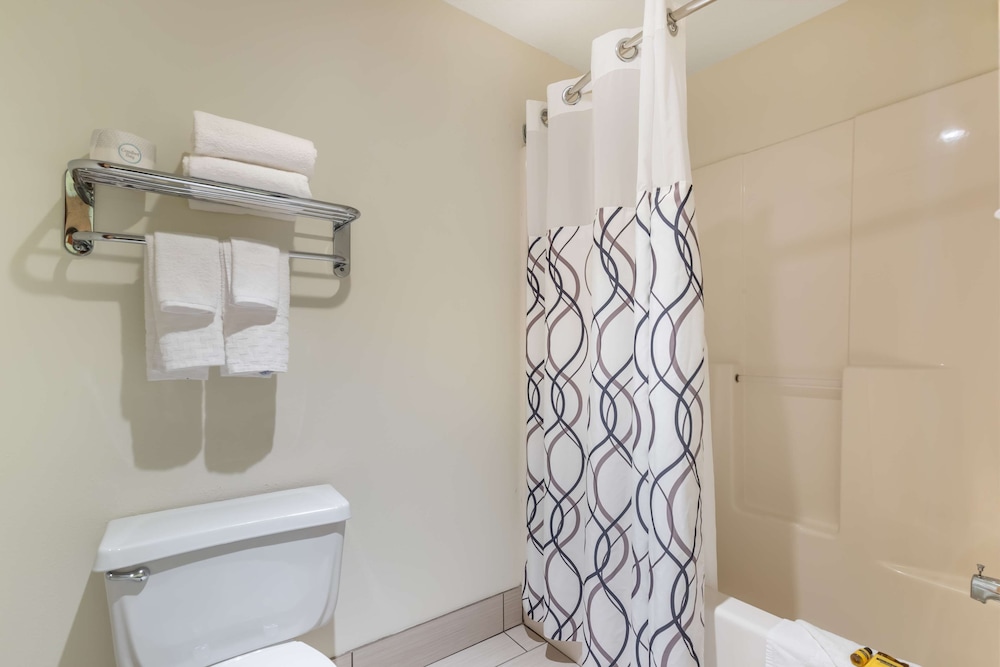 Standard Room, 1 King Bed, Non Smoking, Refrigerator - Photo 10