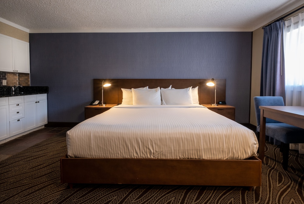 Standard Studio Suite photo 2