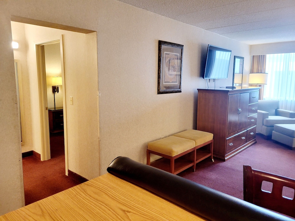 2 Room King Suite Non-Smoking, No Pets photo 3