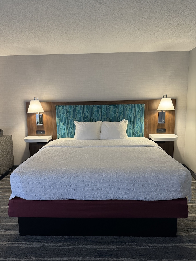Room, 1 King Bed, Accessible, Non Smoking (Mobility & Hearing, Roll-in Shower) - Photo 2
