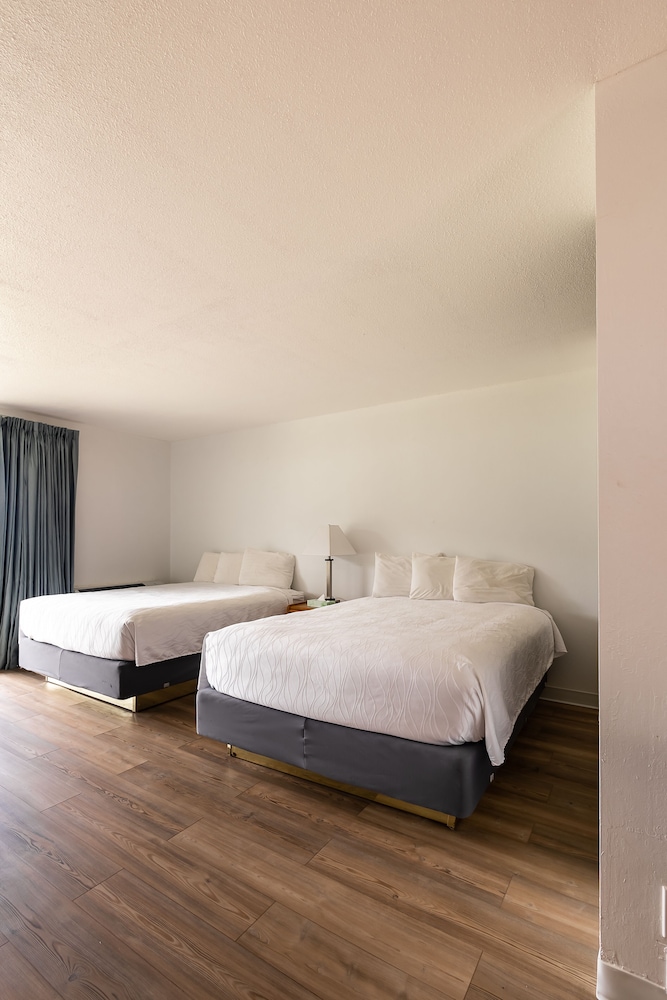 Deluxe Room, Kitchenette photo 2