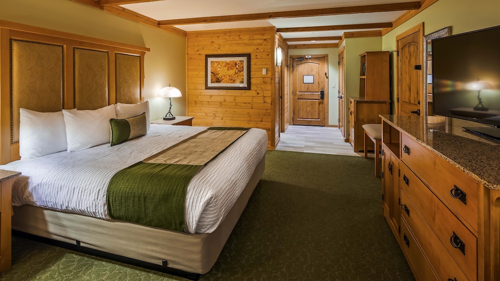 Room, 1 King Bed, Mountain View - Photo 1