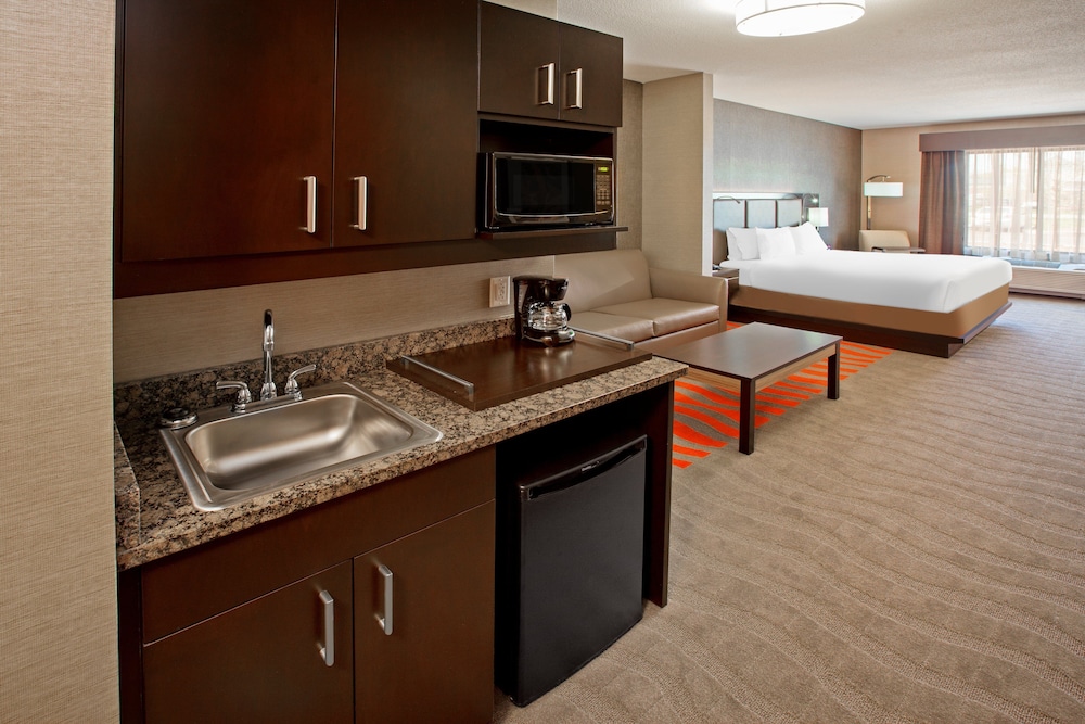 Suite, 1 King Bed photo 2