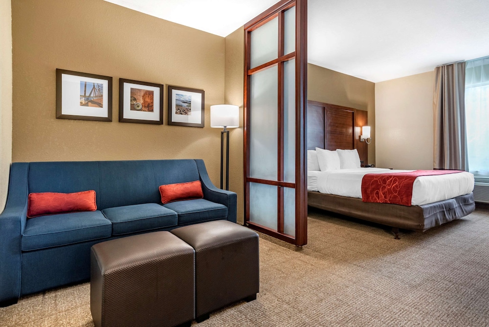 Suite, 1 King Bed with Sofa bed, Accessible, Non Smoking - Photo 1