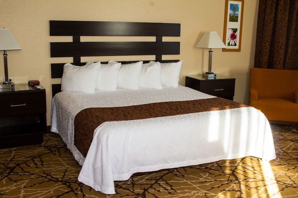 Suite, 1 King Bed, Jetted Tub