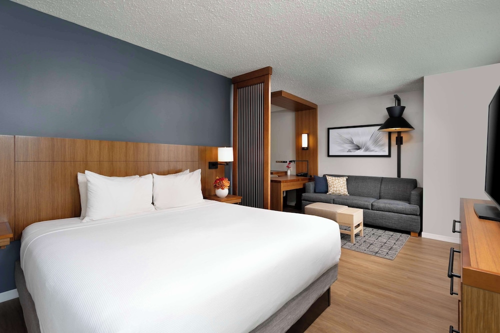 Room, 1 King Bed, Accessible
