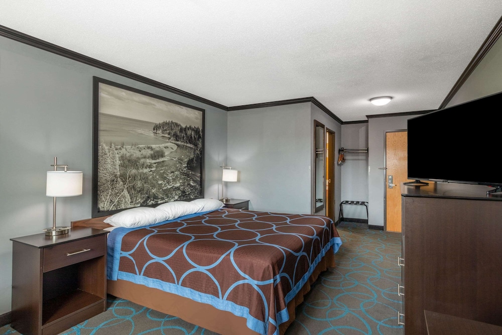 Room, 1 King Bed, Non Smoking (Pet Friendly) photo 2