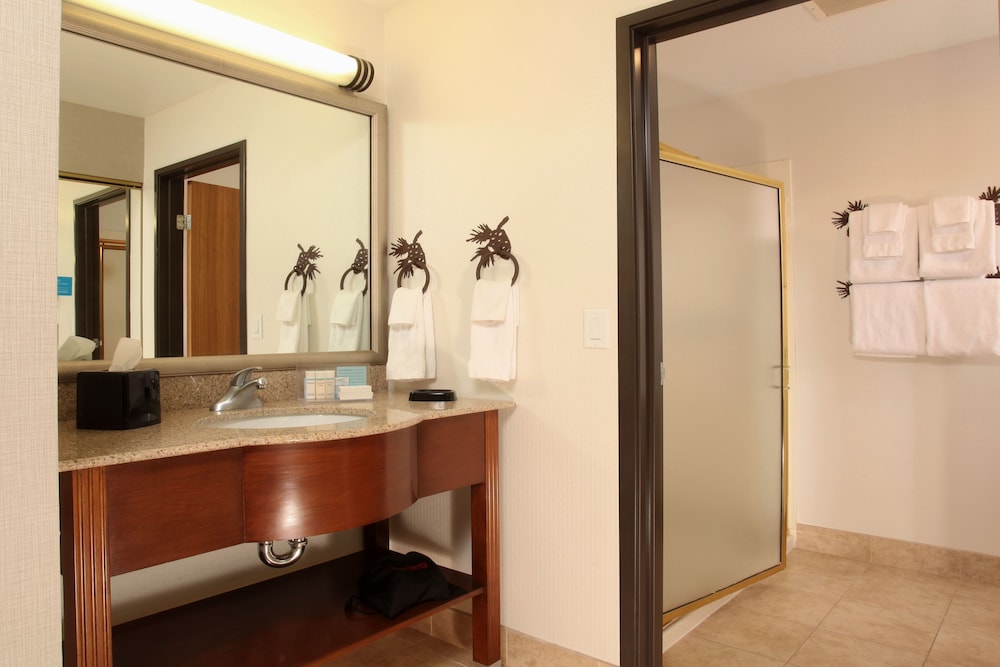 Suite, 1 King Bed with Sofa bed, Non Smoking photo 3