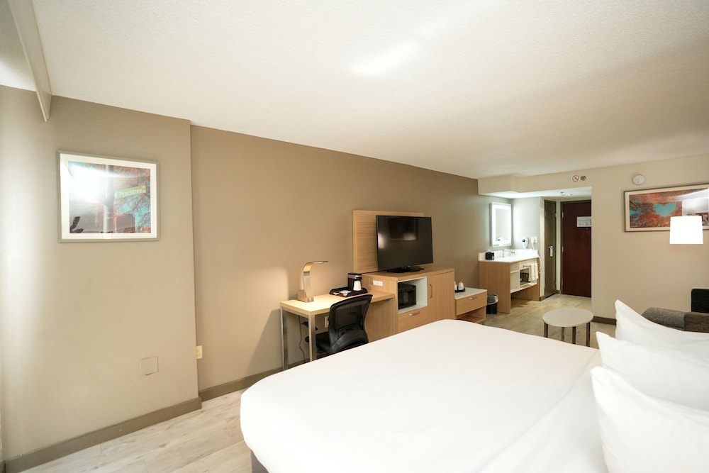 Deluxe Room, 1 King Bed with Sofa bed - Photo 4