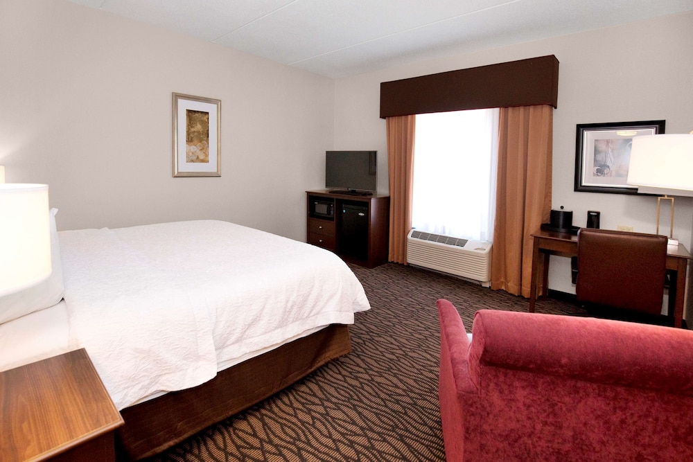 Room, 1 King Bed, Non Smoking, Refrigerator & Microwave
