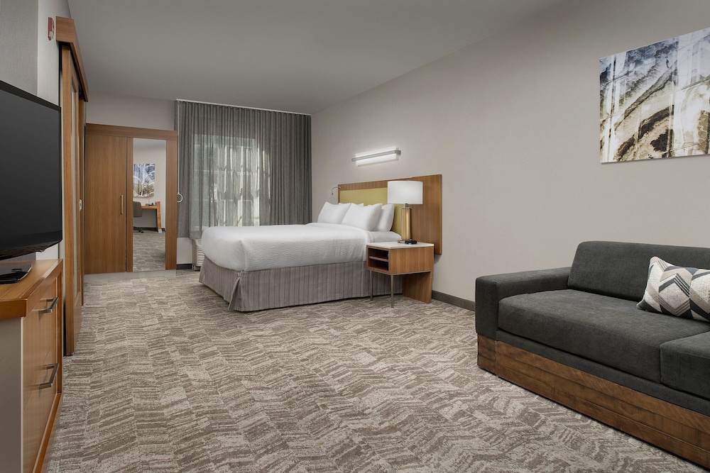 Studio, 1 King Bed (Mobility Accessible, Roll-In Shower)