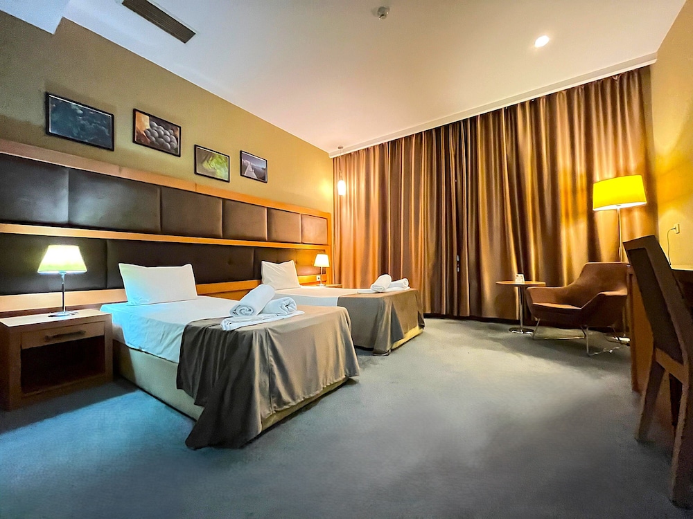Double or Twin Room, Pool Access, City View photo 3