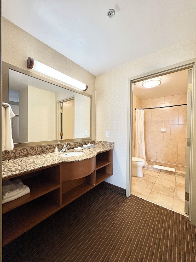 Business Suite, 1 King Bed with Sofa bed, Non Smoking - Photo 10