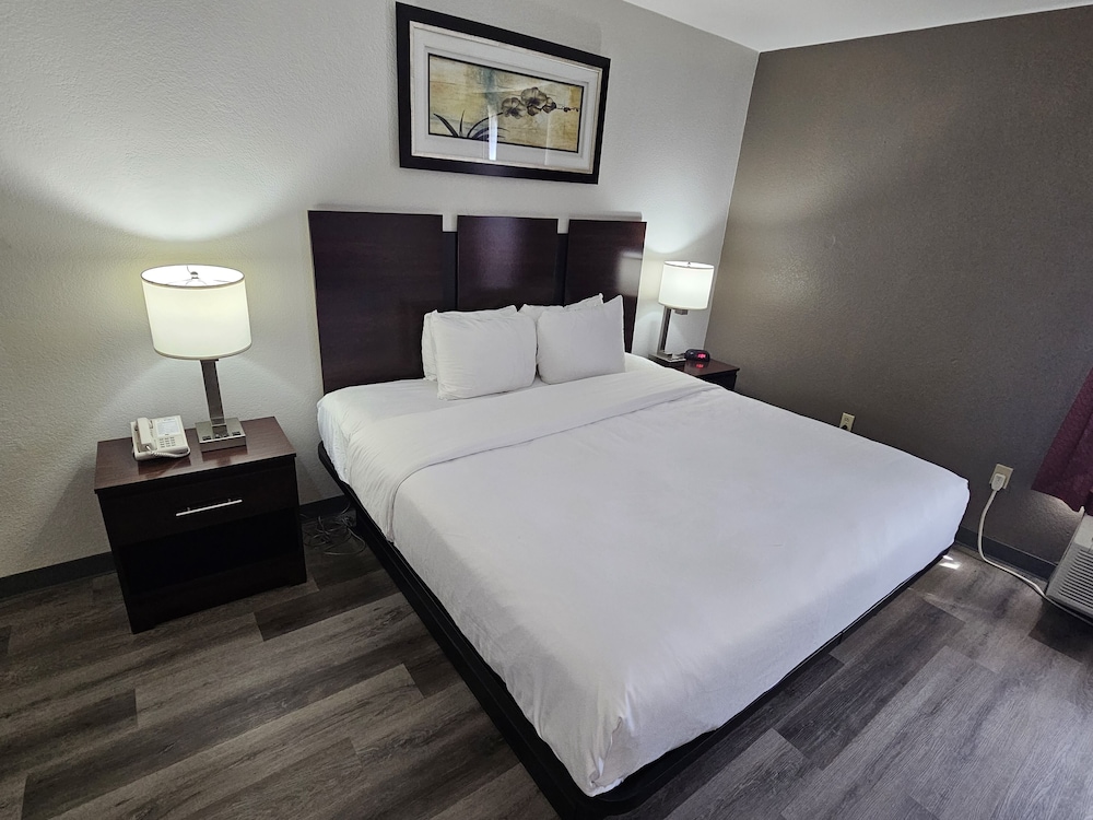 Suite, 1 King Bed with Sofa bed, Non Smoking - Photo 9