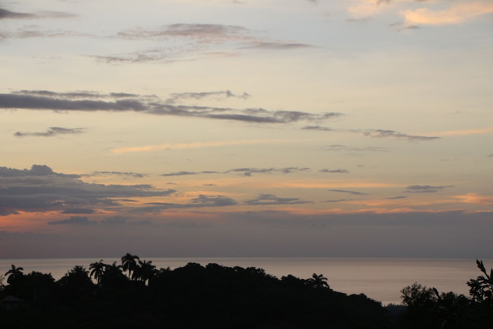 Luxury Villa photo 2