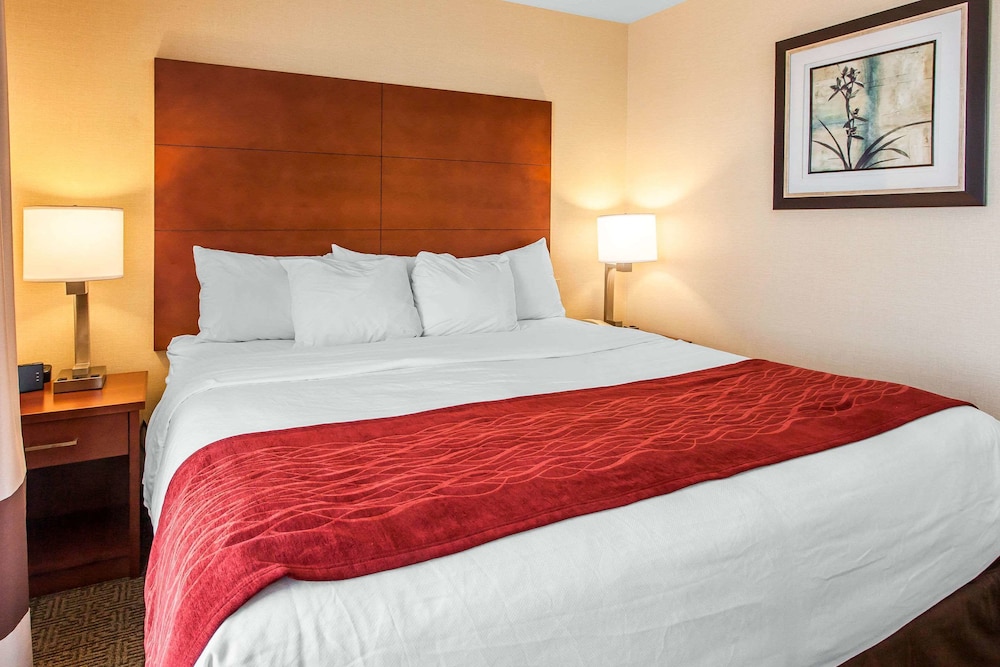 Standard Room, 1 King Bed, Non Smoking - Photo 1