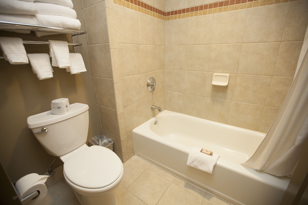 Wolf Den Suite photo 2
