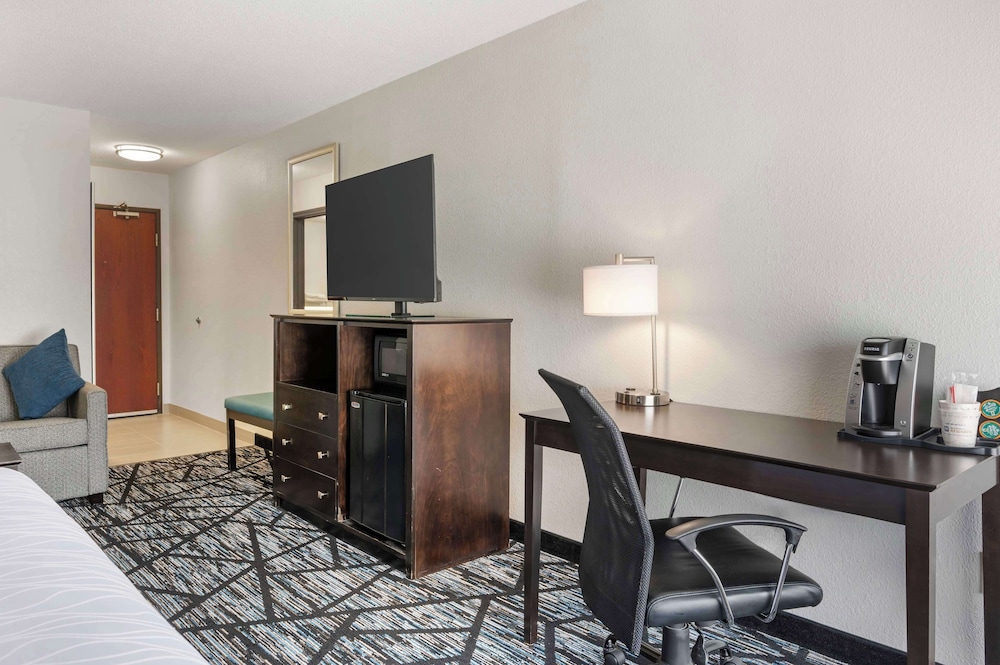 Standard Room, 1 King Bed, Non Smoking, Refrigerator & Microwave (with Sofabed) - Photo 5