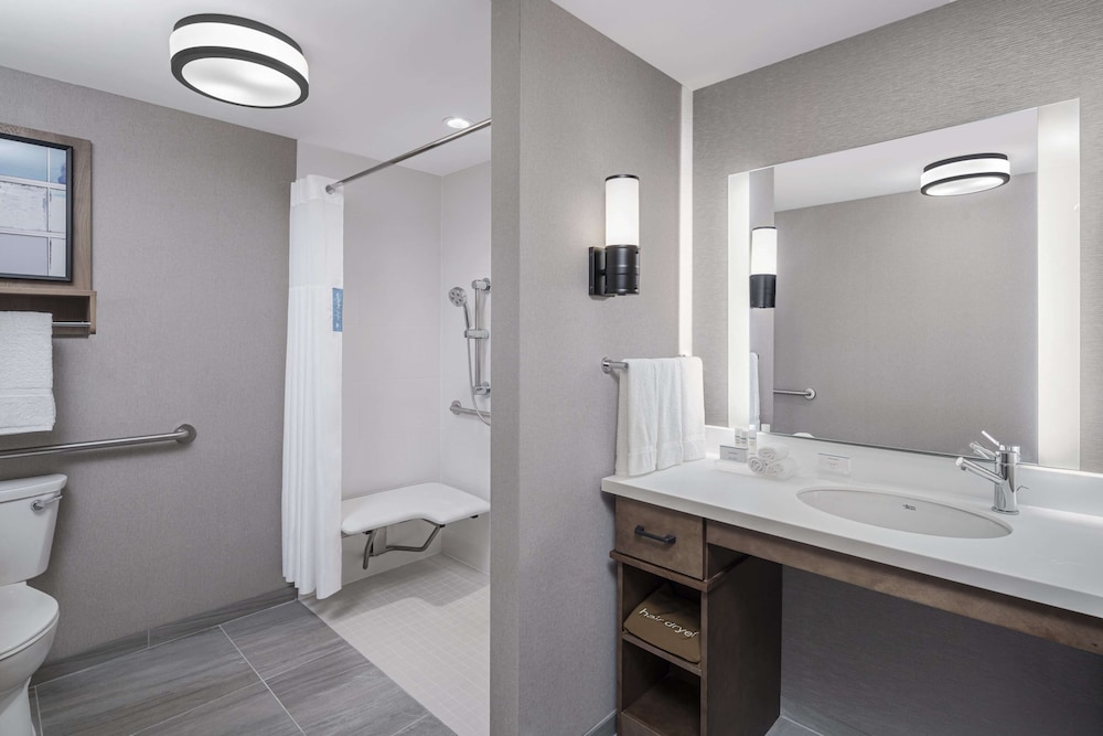 Suite, 1 King Bed, Accessible (Roll-In Shower)