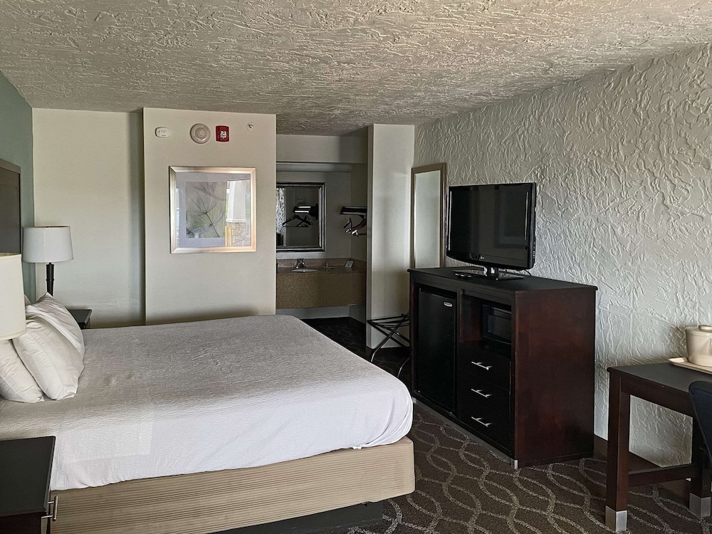 Room, 1 King Bed, Accessible, Non Smoking photo 3
