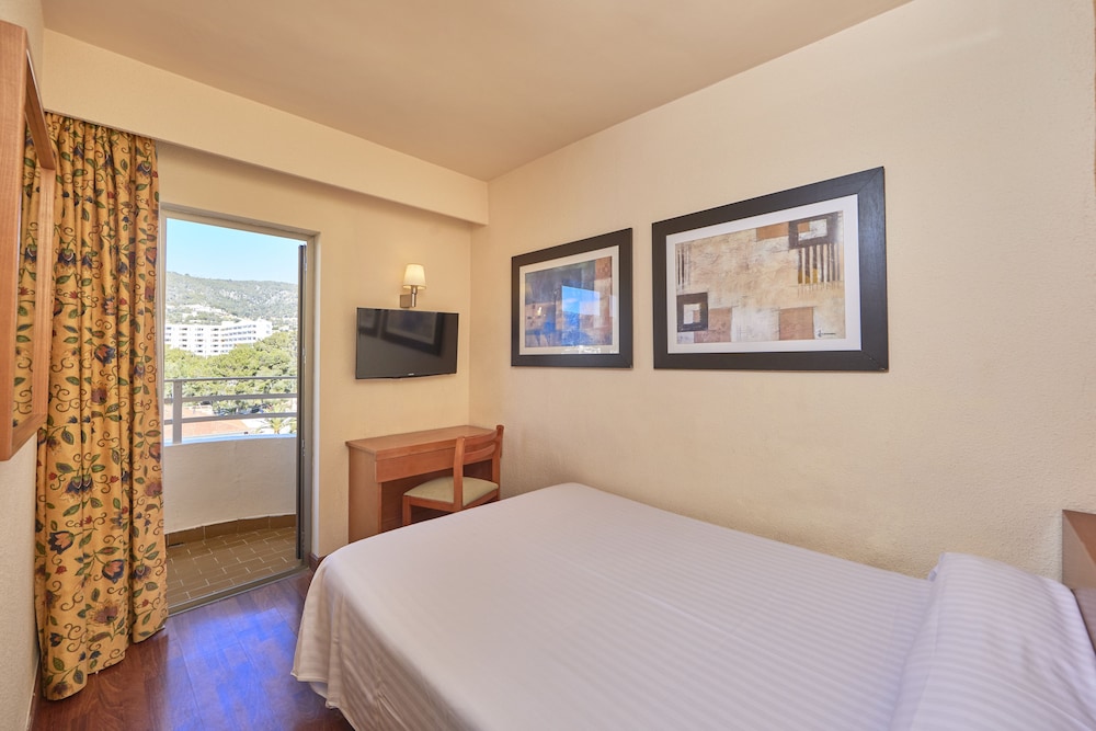 Single Room, Mountain View