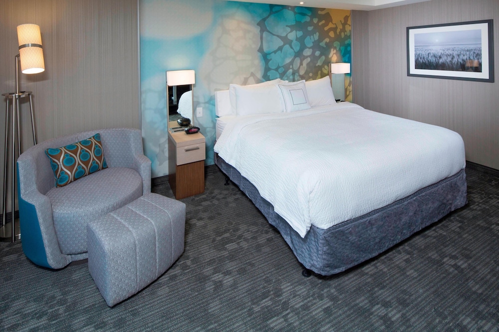 Room, 1 King Bed with Sofa bed photo 2