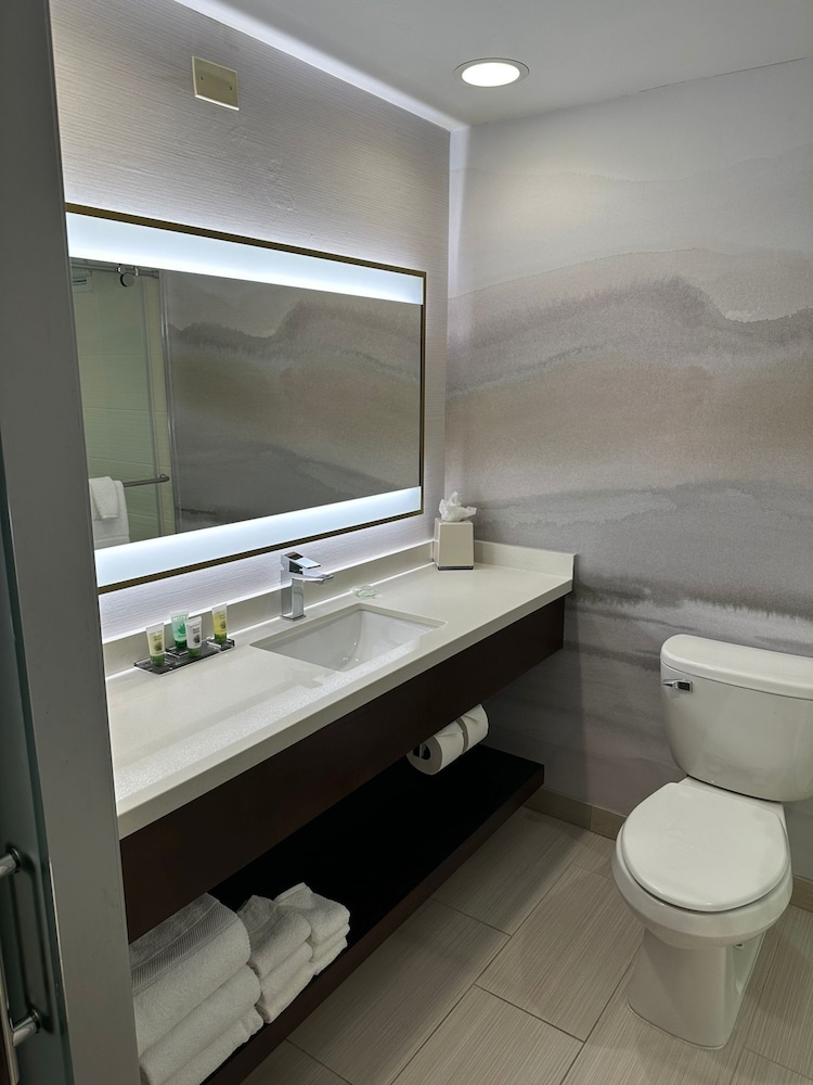 Room, 1 King Bed (Mobility Accessible, Roll-In Shower) - Photo 8