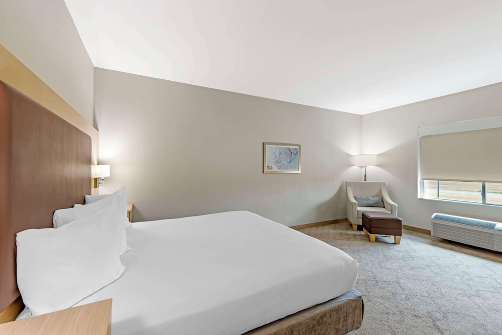 Standard Room, 1 King Bed, Non Smoking, Refrigerator & Microwave - Photo 3