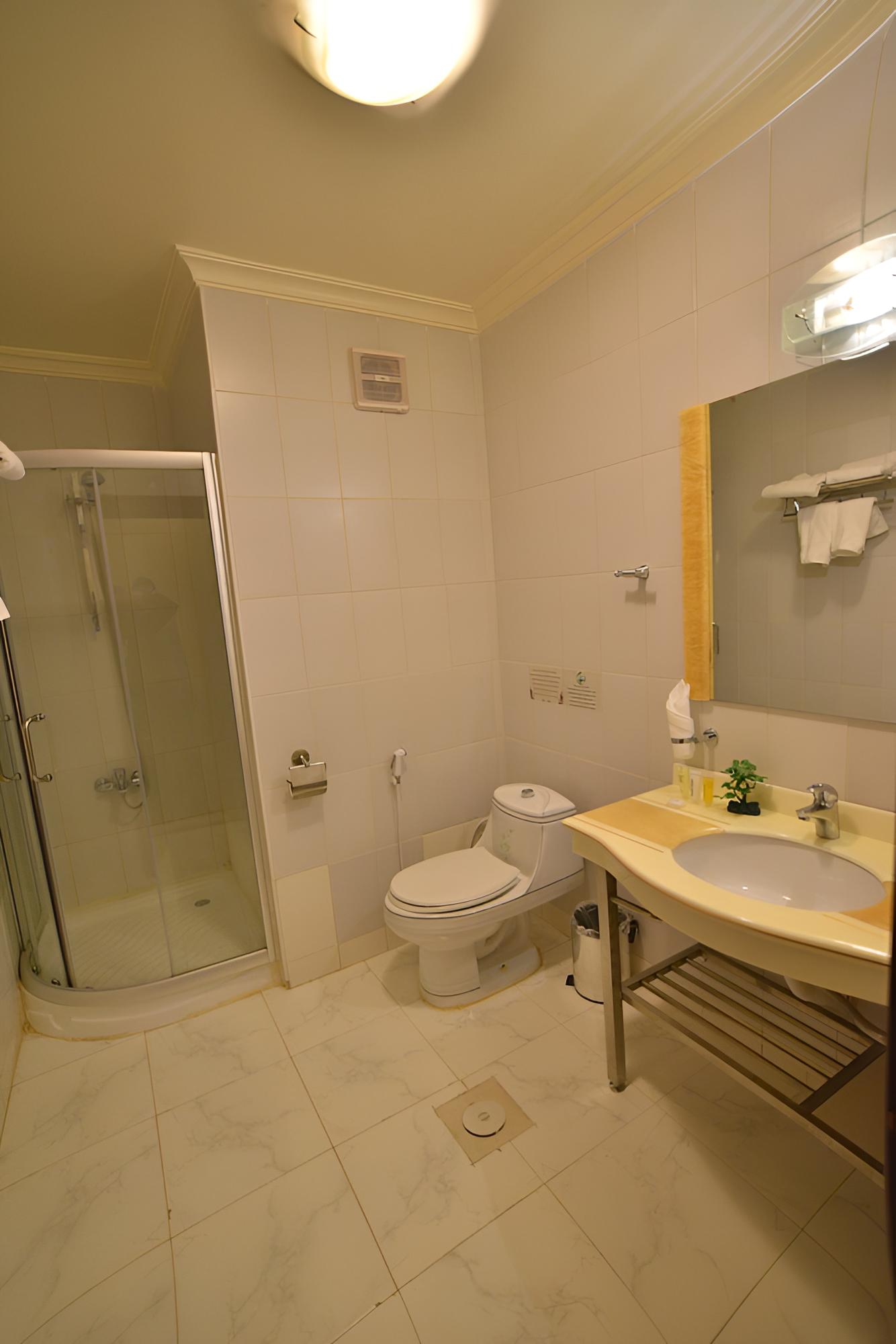 Deluxe Twin Room, Smoking, City View photo 3