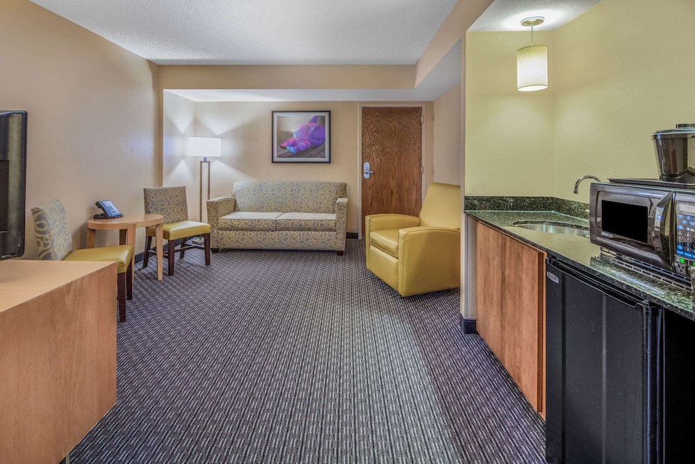 Deluxe Suite, 1 King Bed, Non Smoking - Photo 6