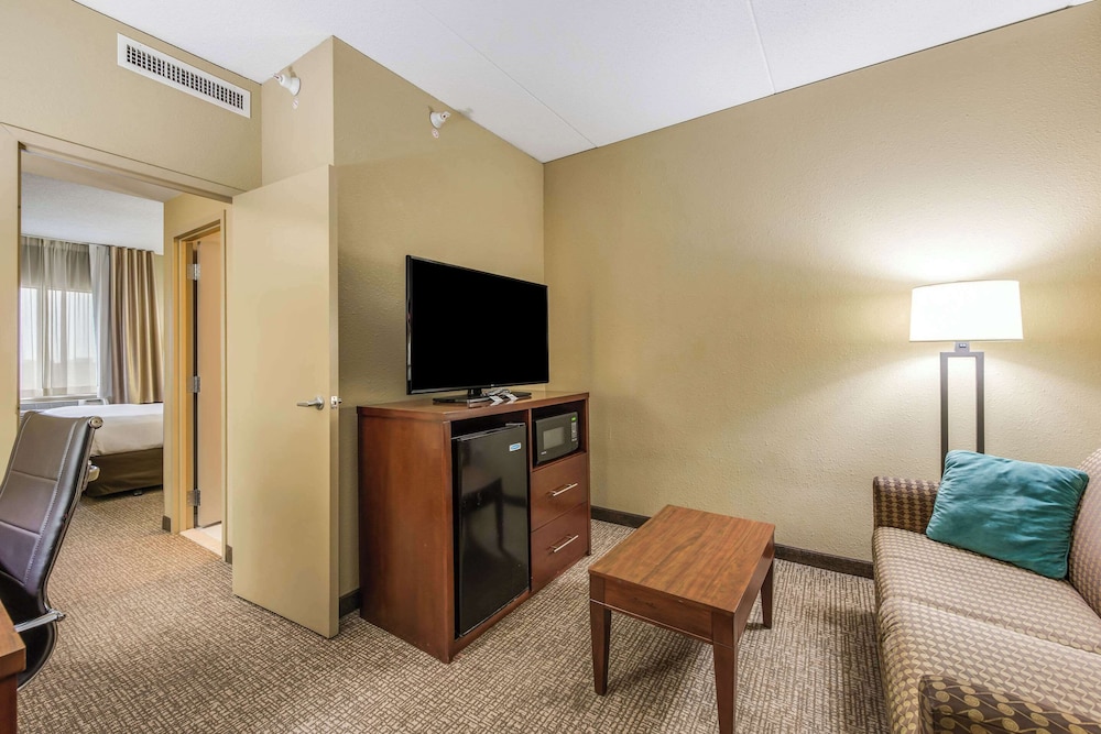 Suite, 1 King Bed with Sofa bed, Non Smoking - Photo 1