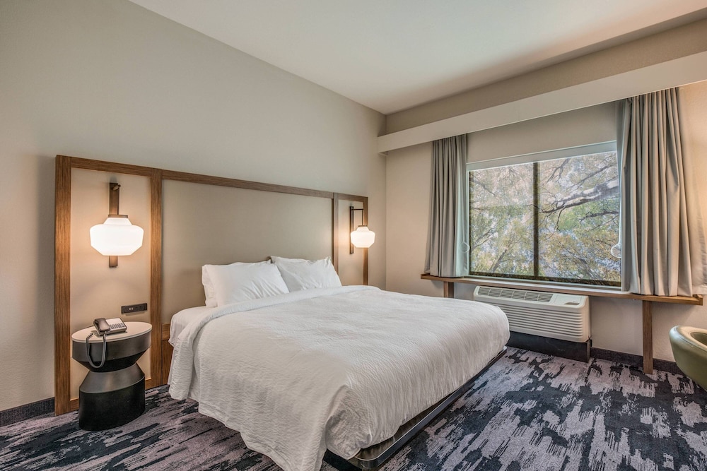 Suite, 1 King Bed with Sofa bed (Hearing Accessible) photo 1