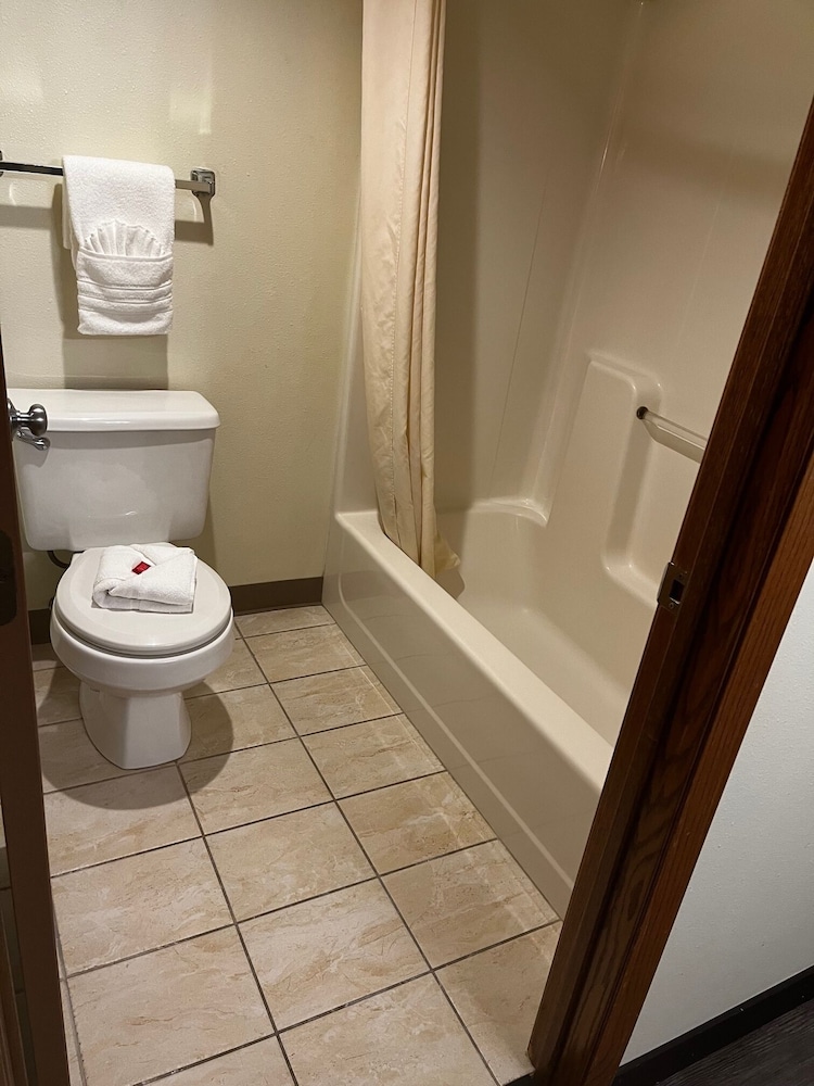 Studio Suite, 2 Double Beds, Non Smoking photo 3